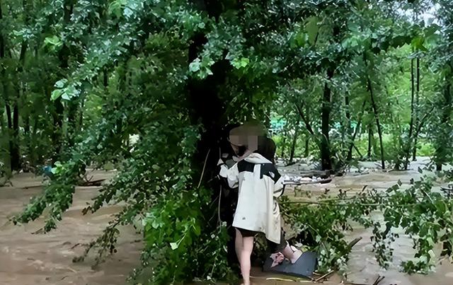 露营11人遇难后续：羊倌曾劝过 没听，身份曝光，五个家庭天塌了