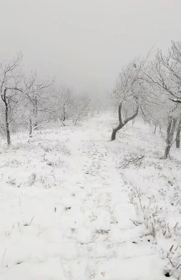大雪暴雪、中雨大雨要来了！
