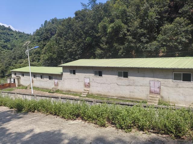 走进商南县清油河镇吊庄村：看物阜民丰的山水长卷