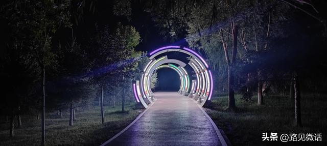 夜幕中的公园