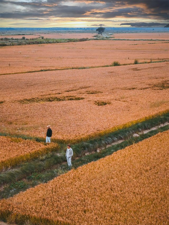 为了这些照片，我专门来了一趟东营！