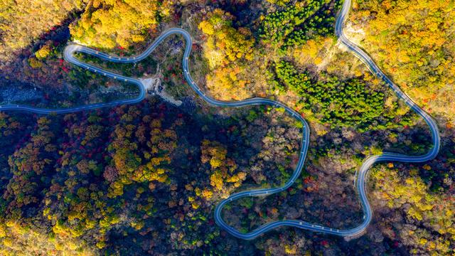 山道弯弯秋色浓