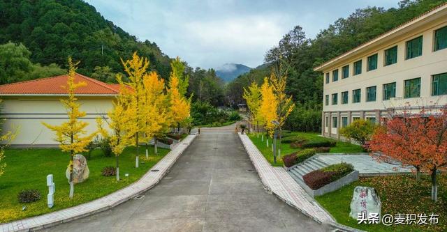 【东方微笑 多彩麦积】摄影师看麦积 | 和谐园里风光如诗画（上）