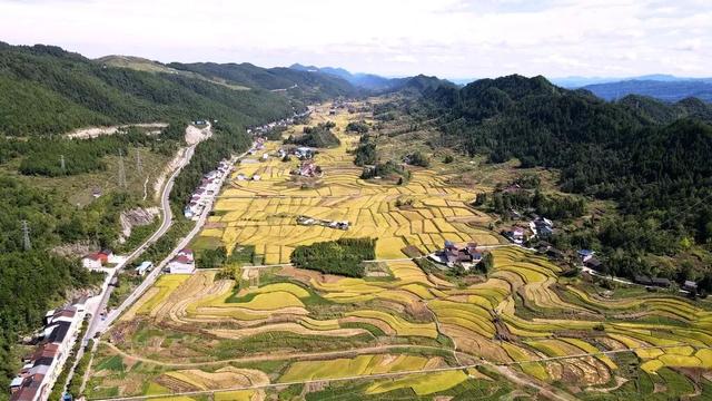 地名里的重庆 | 在山水与街巷中,寻迹石柱鱼池镇