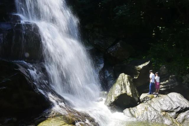 泌阳九龙瀑与池杉林：山水相依的夏日胜景
