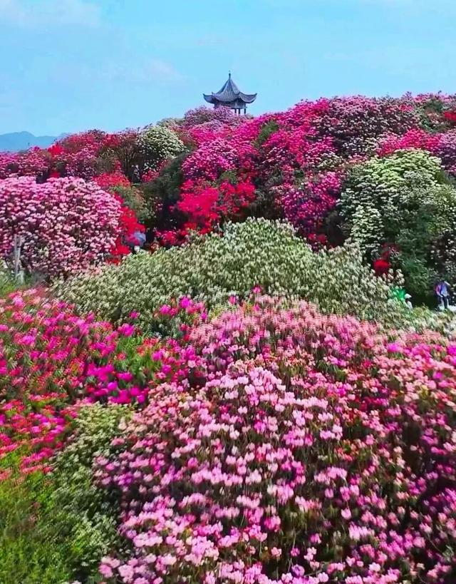 4月最适合小住三五天的16个地方，再忙也值得你挑一个去发呆！