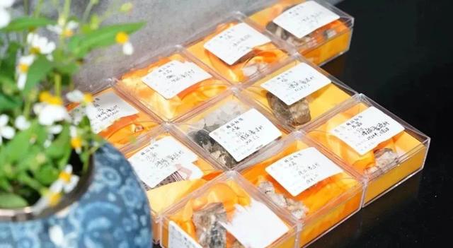 对接会成效 丨 金山地质博物馆五十载厚积薄发，聚力打造博物馆集群