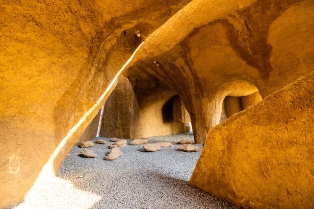 黄河!天鹅!壁画!美食!四条主题线路打开初冬的N种游玩方式