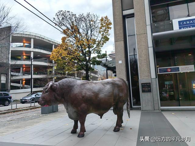 温哥华游记（三）