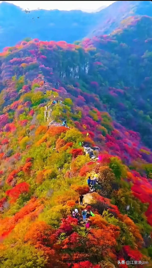 秦岭秘境话镇安