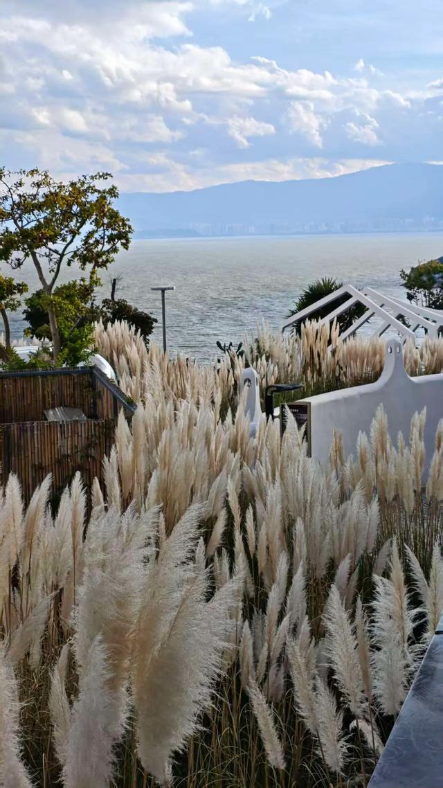 以自己的方式过好每个日出日落