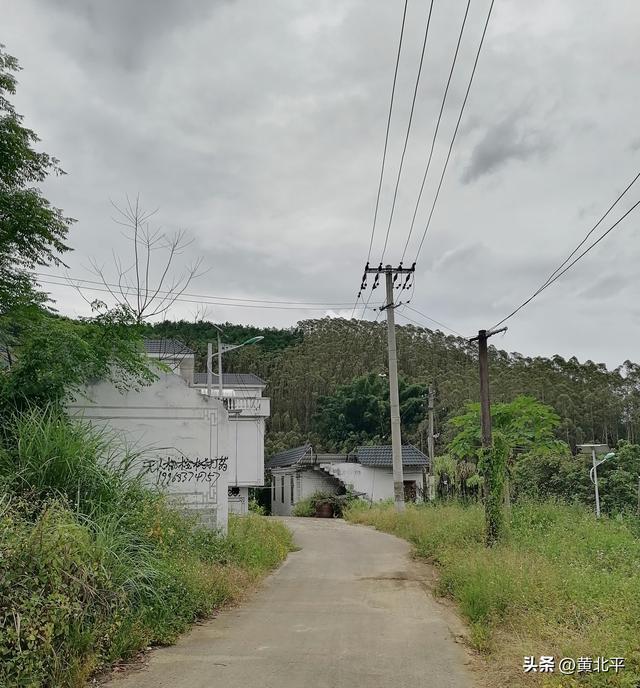 广西南宁市武鸣区与兴宁区交界无街小集，半个代销店都没有也叫圩