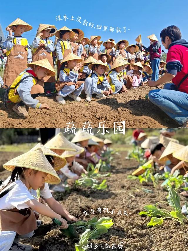 黄陂版《种地吧》太治愈了！