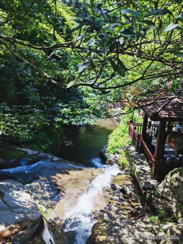 告别36℃热浪！长沙“小荔波”藏着28℃清凉，带娃溯溪玩不停！