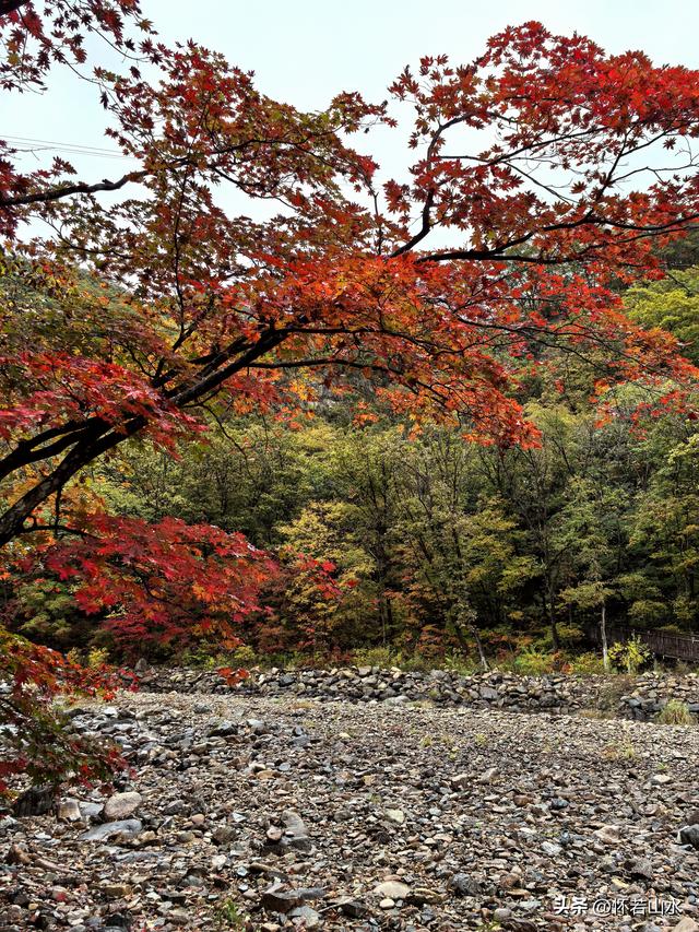 2025辽宁赏秋之旅日记(2)——游览丹东蒲石河森林公园