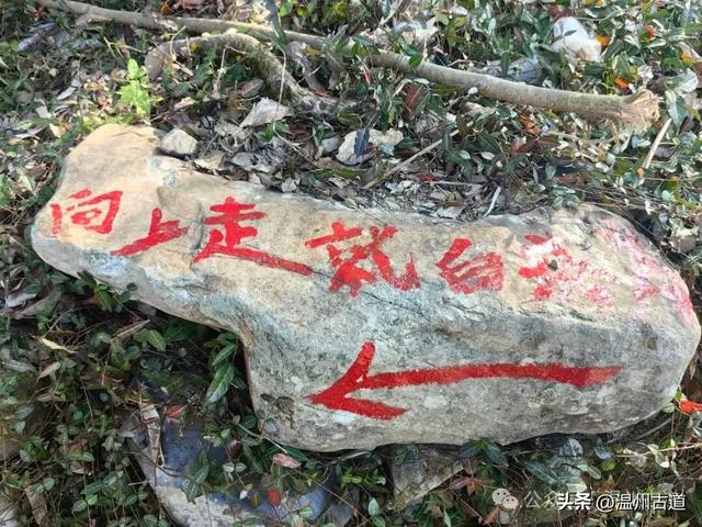 温州这两条知名红枫古道已经红啦！周末是最佳观赏期，不要错过！