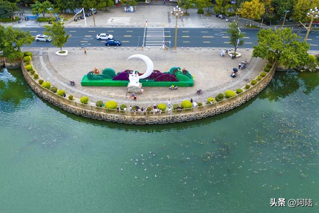 洱海边有个半圆形广场,不仅立着渔家女雕像,还是海鸥争宠的地方