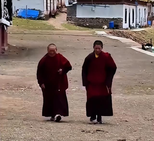 男子西藏遇到尼姑，住在4500米高的地方，吃肉修行，一闭关七八年