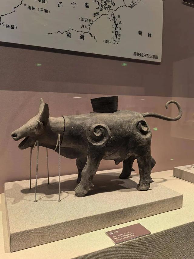 千万别错过！8月的沈阳，太值得期待了！