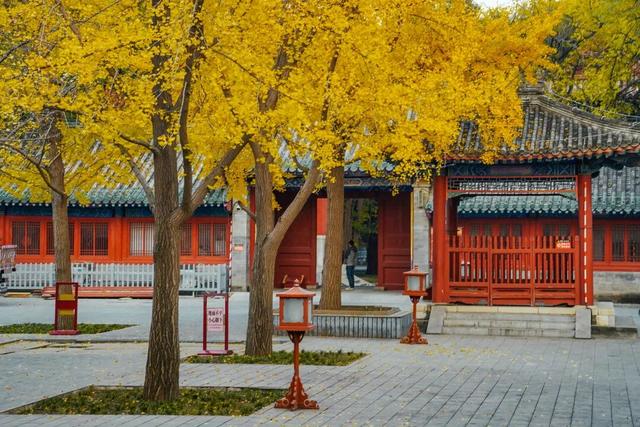 十月最想去的地方，已经开始期待它华丽变身了