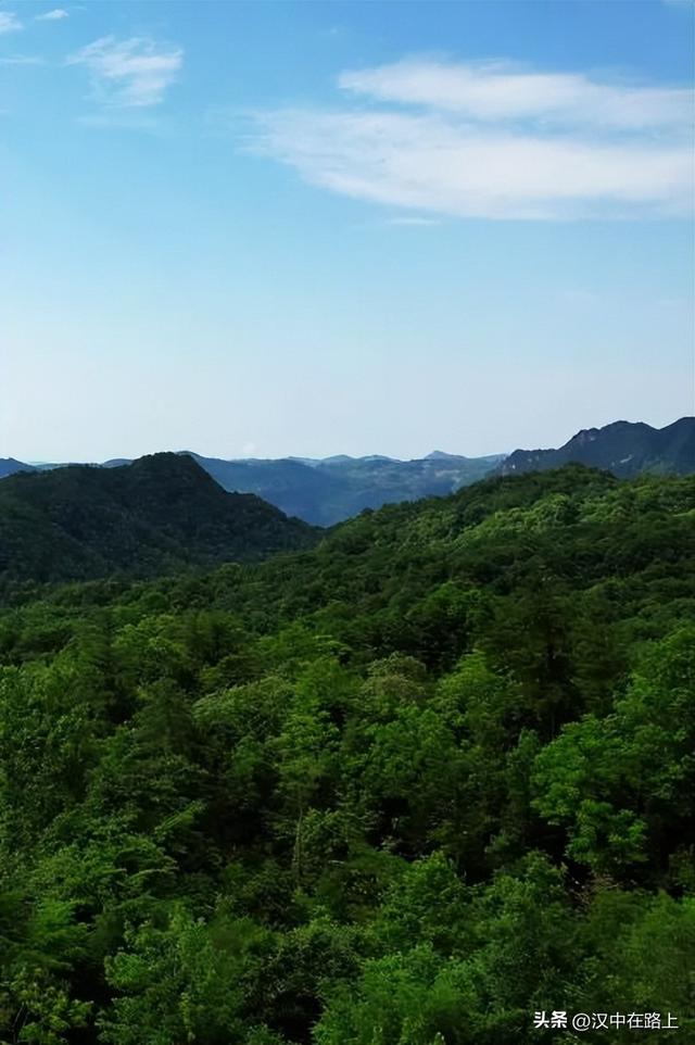 草川子康养景区明日开园，这份夏日清凉请柬请您查收→
