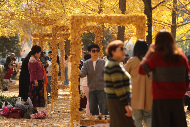 没扫的落叶，都去哪儿了？拱墅这片银杏林靠它火了