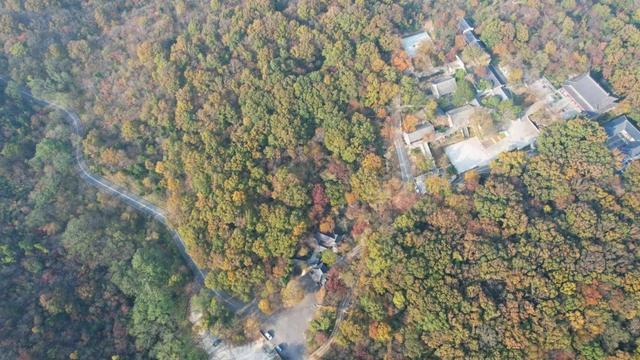 全屏“封神”!这可是全椒初冬的超绝顶流!