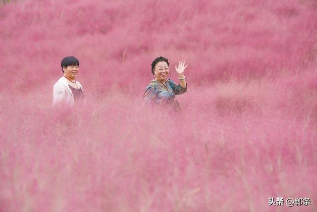 美在邯郸丨初冬的紫山