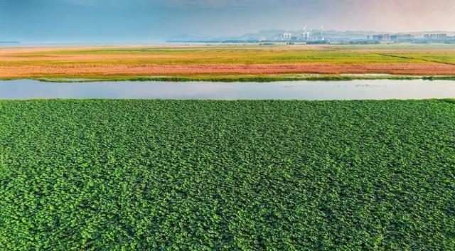 影像记录丨河北石家庄平山：滹沱河畔秋日美