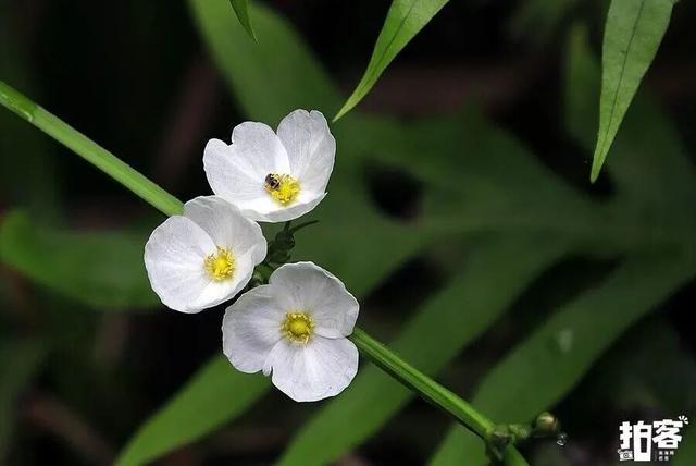 春节游万宁兴隆｜解锁热带归侨的暖冬年味！