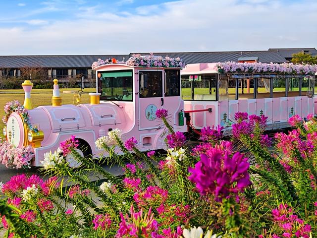 江苏旅游：从灵山胜境到拈花湾行散记（图）