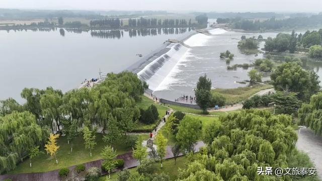 “北方都江堰”!秋日阳光洒在戴村坝,碎成万点金光!