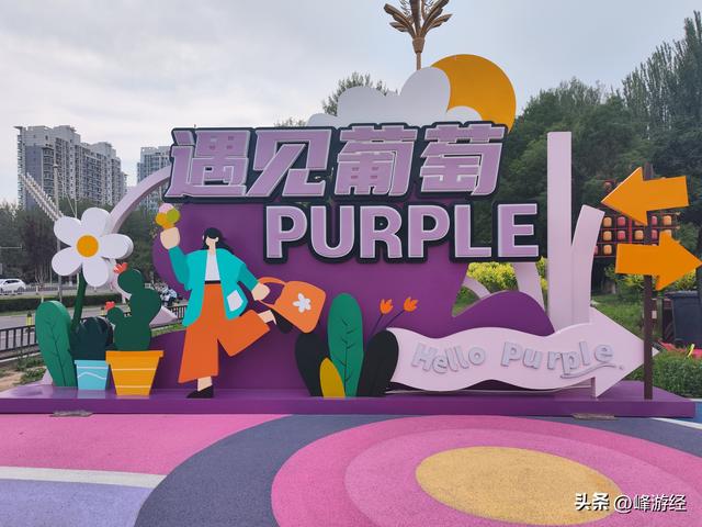 寻凤凰幻城的文化背景，银川站前广场的葡萄酒雕塑和站内的向阳花