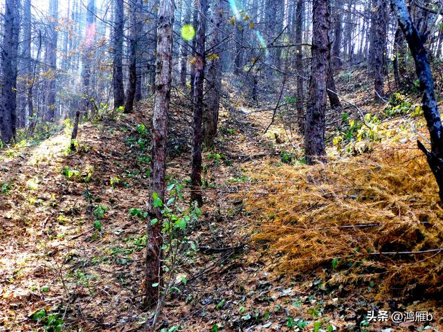 明长城本溪段全程探寻