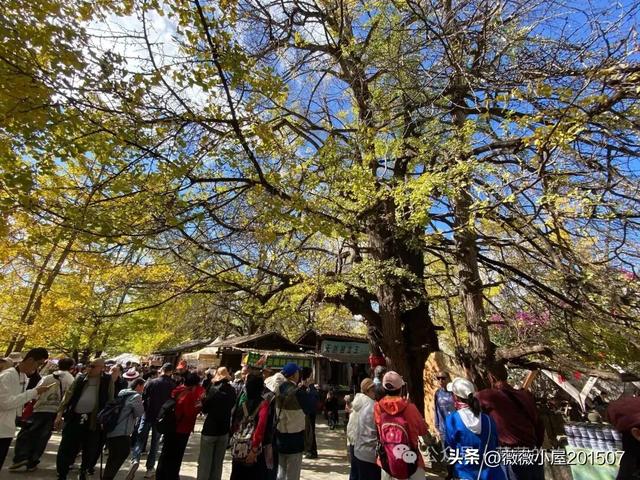 腾冲秘境：火山沉寂，绽放的地质与自然之美