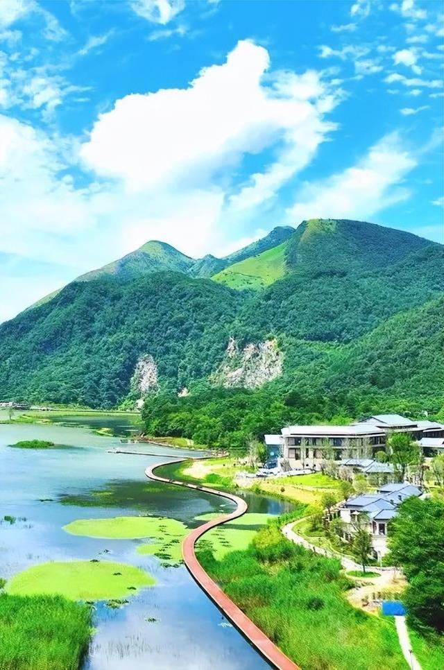 七夕将至，来月坝共赴浪漫......