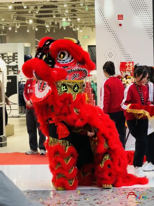 太火爆！“湾里”正式启幕！现场直击来了——