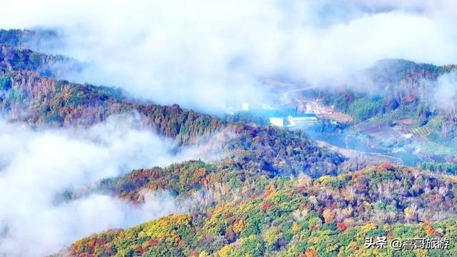 登临四方顶，邂逅长白山的四季情书