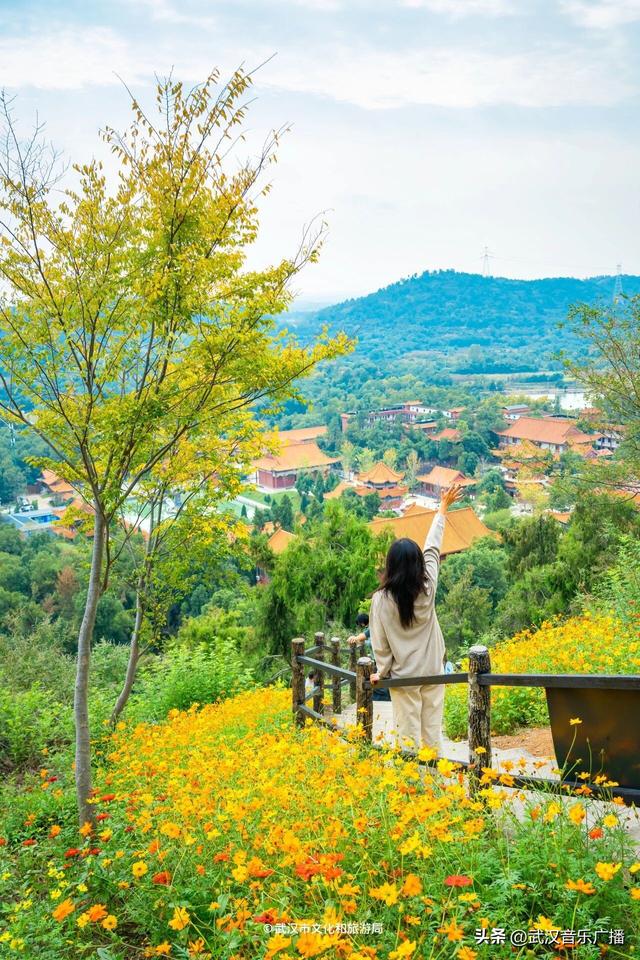 武汉这条登山花路爆火出圈