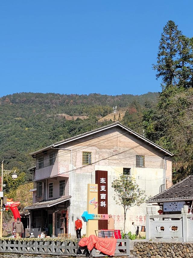 土楼拾光①:福建土楼景区——田螺坑片区（2025.2.9 漳州·南靖）