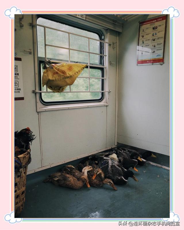 彝路风情绿皮车“5633”：