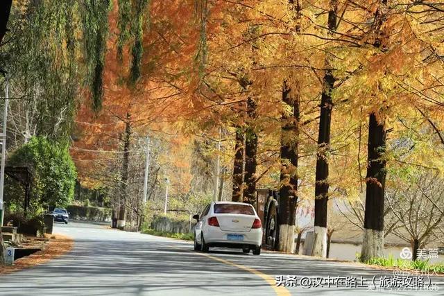 超出片！快来这里捕捉汉中秋色！