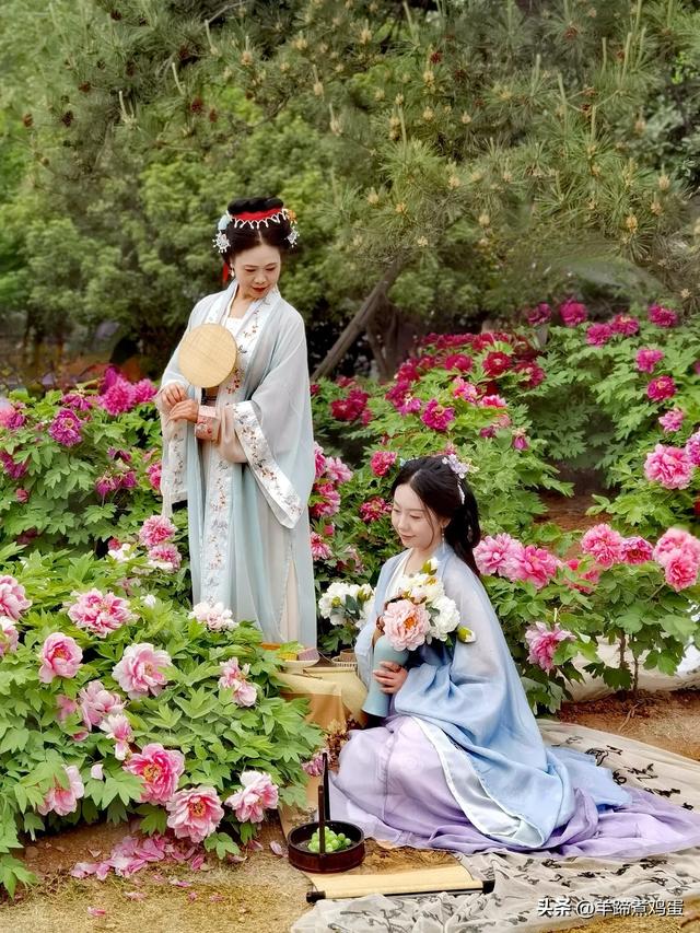 做几天洛阳人——游河南洛阳赏牡丹芬芳 总体概述(四)