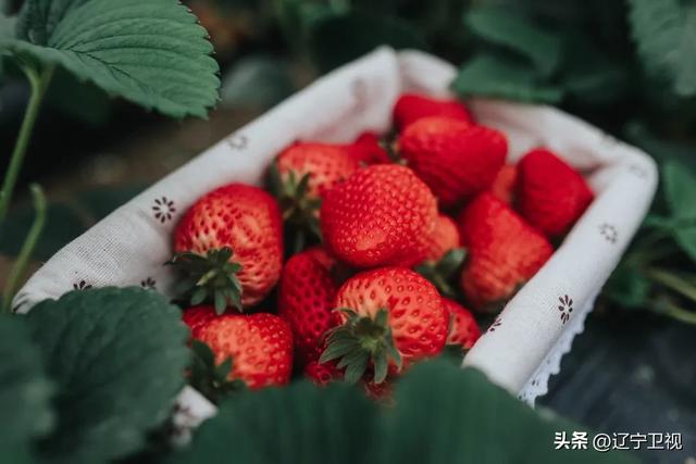 辽宁封神级别的秋天就在这！这条“醉”美边境公路就在辽宁