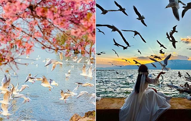 西安直飞丨8个暖冬城市丨避冬、遛娃、拍照、度假好去处推荐