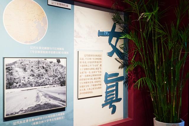吉林官参局，文化厚重，馆藏丰富，探秘人参背后深厚的历史风华