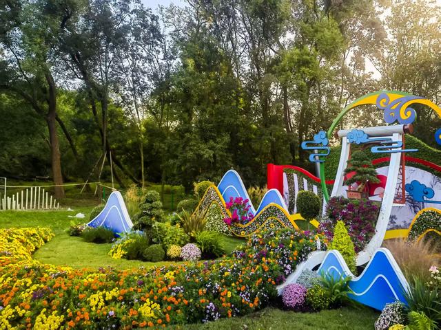 11月30日:2025年上海菊花展华丽登场