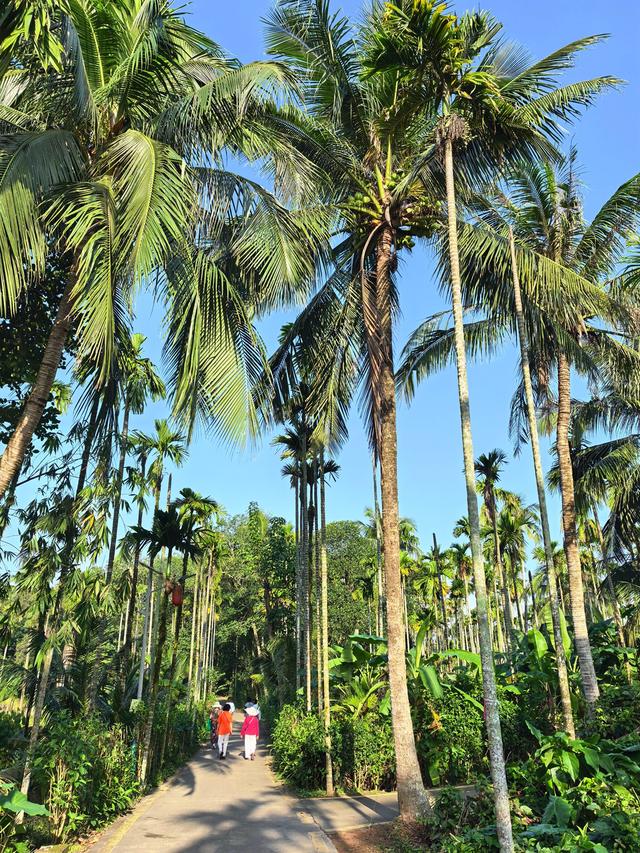 又回海南天来泉