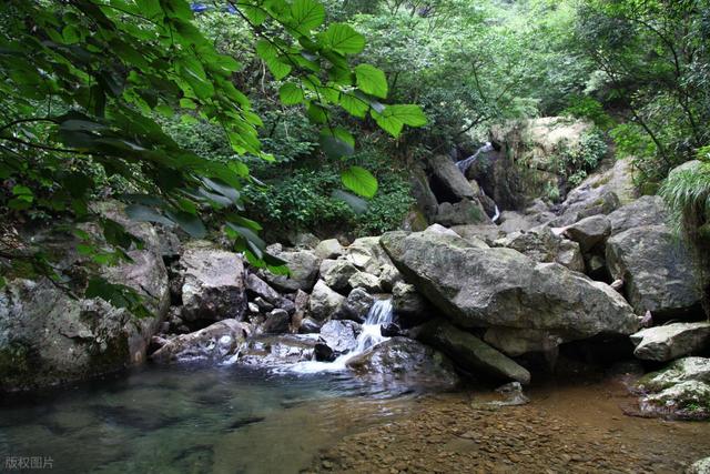 穿越迷雾森林，邂逅云端仙境，我找到了杭州最原始的徒步路线！