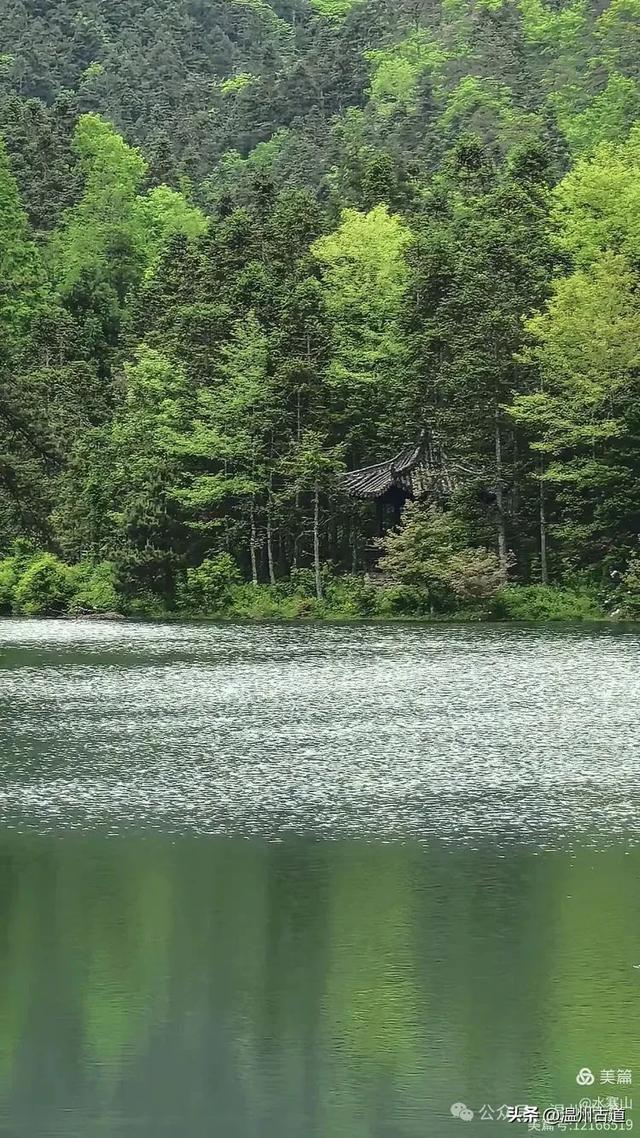 温州酷暑哪里有清凉,当然永嘉四海山!